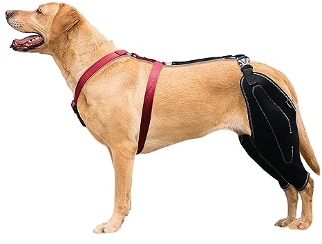 LISPOO Dog Acl Kniebandage für zerrissene Hinterbeine, Luxating Patella, Gelenkschmerzen und Arthritis, Hunde-Kniebandagen für Hinterbeine, warmes Gelenk und lindert Schmerzen, Hunde-Acl Brace(XL)