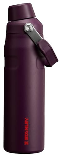 Stanley IceFlow Fast Flow Water Bottle 24 oz | Angled Spout Lid | Lightweight and Leakproof for Travel and Sports | Insulated Stainless Steel | BPA-Free | Plum