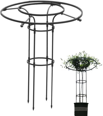 Obelisk Rankhilfe Metall,Outdoor Rankgitter Für Kletterpflanzen, Vertikaler Schirm-gartenspalier-Turm, Einstellbare Höhen Pflanze Spalier Für Topfpflanzen, Tomaten, Gurken, Clematis, Rose