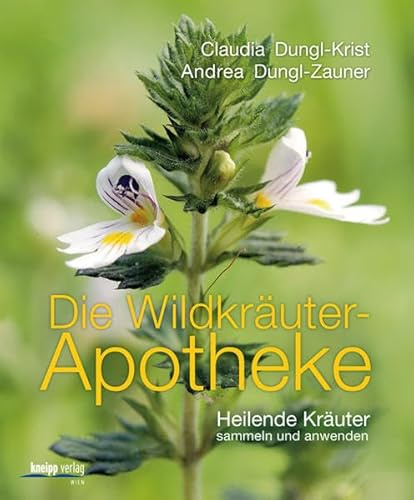 Die Wildkräuter-Apotheke: Heilende Kräuter sammeln und anwenden