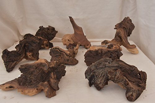 2 x Random Piece small MOPANI Wood fish tank decoration for java moss or ferns