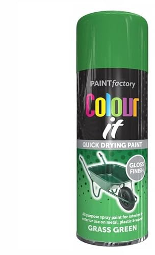 SuperGift.com Grass Green Gloss All Purpose Aerosol Spray Paint 250ml Quick Drying Spray, Fast Dry and Excellent Coverage for Metal, Wood, Plastic and More by Diva Gift