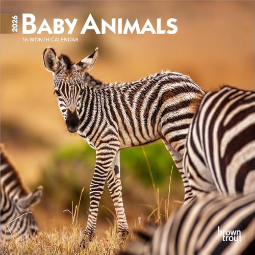 Baby Animals | 2026 7 x 14 Inch (Hanging) Monthly Mini Wall Calendar | BrownTrout | Domestic Pets Chicken Small Cute