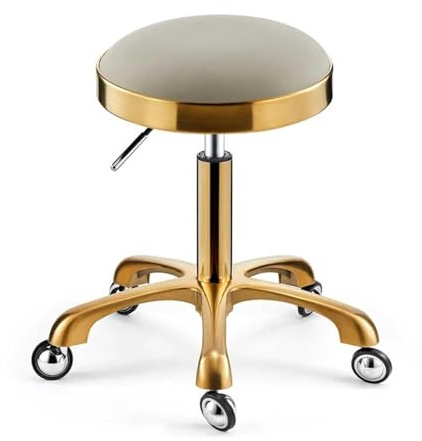 Sadelpall, Beige Silver Rullande Snurrpall Skönhetssalongstol, Läderkudde for Medicinsk Vård, Spa Kontor Massage Manikyr Tatueringsstol(Light Gray,Gold)