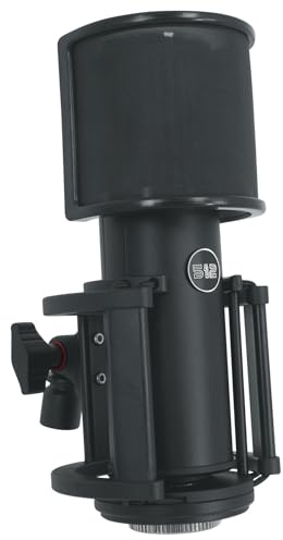 512 Audio by Warm Audio Skylight Large Diaphragm Studio Condenser XLR Microphone + Shock Mount + Bag for Recording and Podcasting