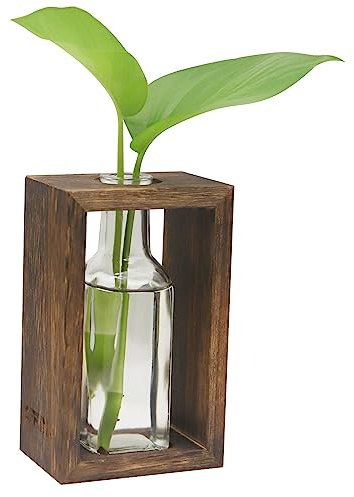 OFFIDIX Stazioni di propagazione delle piante, terrario da tavolo in vetro con supporto in legno, vaso da fiori in vetro con 1 vasetto, per piante idroponiche, decorazione per ufficio e casa