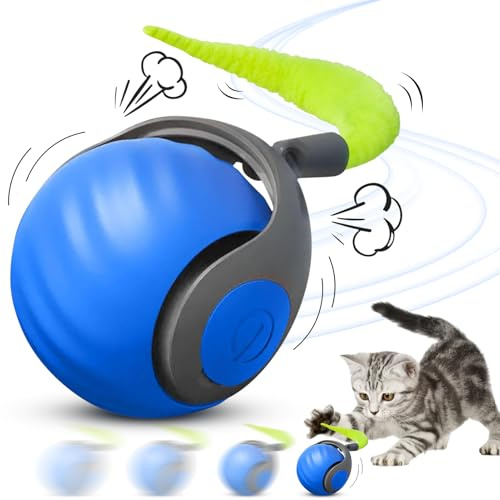 NHYDZSZ Interaktives Katzenspielzeug Katzenball, Speedy Tail Katzenspielzeug, Katzenspielzeug Elektrisch mit USB Aufladbar, DREI Arbeitsmodi, 360° Rolling katzenspielzeug selbstbeschäftigung(Blau)