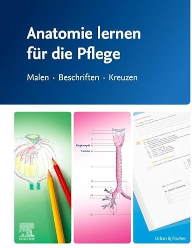 Anatomie lernen für die Pflege: Malen - Beschriften - Kreuzen (PFLEGE - Lehrbuch - Urban & Fischer Verlag)