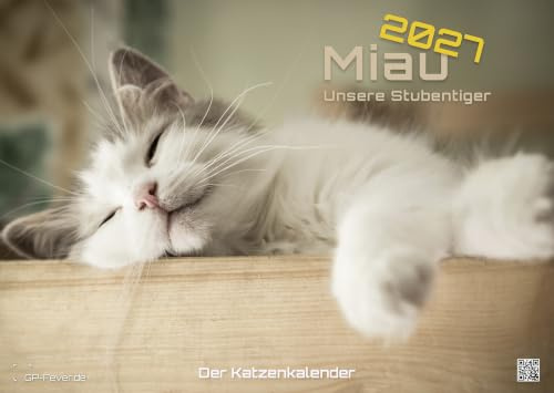 Miau - Katzenkalender 2027 - Unsere Stubentiger - Premium Kalender DIN A2 (extragroß: ca. 60cm x 42cm)