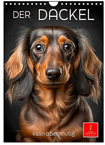 Der Dackel - klein aber mutig (Wandkalender 2026 DIN A4 hoch), CALVENDO Monatskalender: Der Dackel - ein Hund mit ausgeprägtem Charakter (CALVENDO Tiere)