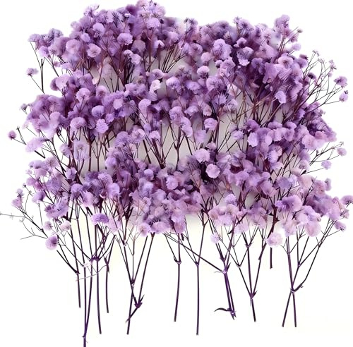 50pcs Natural Dried Gypsophila Flowers, Purple Baby's Breath for DIY Crafts, Home Decor, Wedding Decorations (6-8cm)