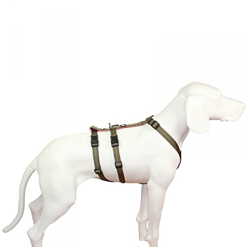 Hoffmann NoExit Hundegeschirr® - ausbruchssicher, Panikgeschirr, Khaki Muster, Bauchumfang 55-75 cm, 20 mm Bandbreite