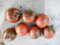 SEMI POMODORO CAMONE SARDO