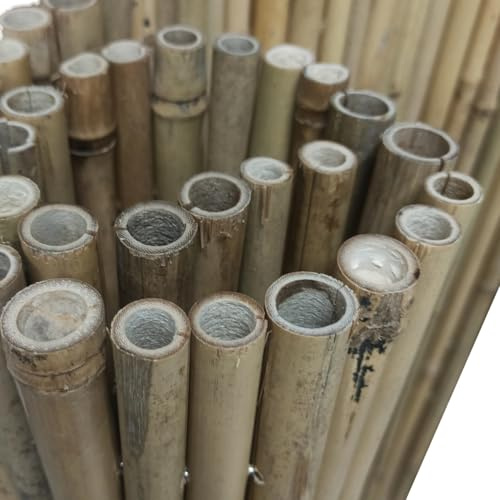 BONERVA | Bambú Pro Caña Completa | Cañizo de Bambú Caña Gruesa para cerramientos y decoración de Jardín, balcón y Exteriores | 12 mm - 25 mm diámetro cañas | Varias Medidas (1,5 x 3 Metros)