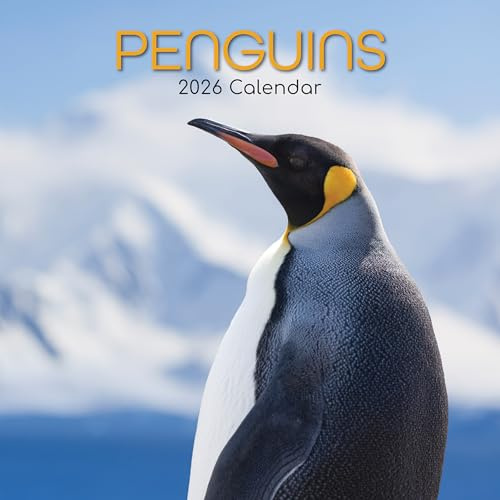 TGSC | Pingviner 2026 kalender 16 månader (sept 2025-dec 2026) Familj fyrkantig vägg 2026 UK | Planerare med stort rutnät för hem- eller kontorsorganisation - Djur 2026/2025 UK