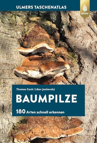 Baumpilze: 180 Arten schnell erkennen