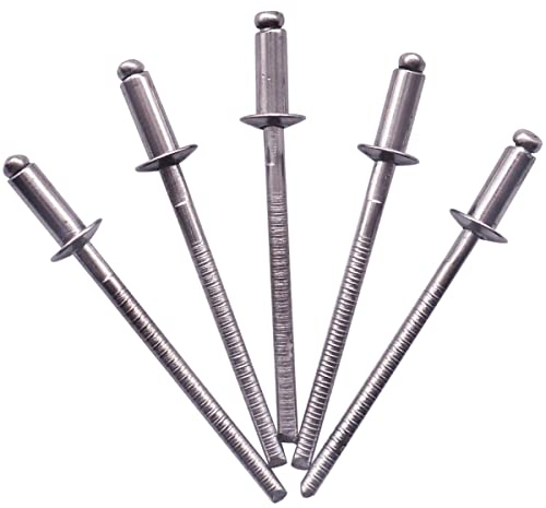 SKIR'CO (100 pezzi) Rivetti ciechi in acciaio inox 3,2 x 8 mm, testa a cupola, rivetti pop, DIN 7337, rivetto A2, mandrino scanalato