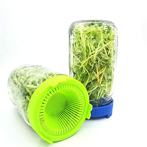 Pssopp Plastic 4Pcs Bean Screen Microgreens Growing Kit Easy Rinse and Drain Colored Plastic Storage Sprouting Lids for Wide Mouth Jars (Green)