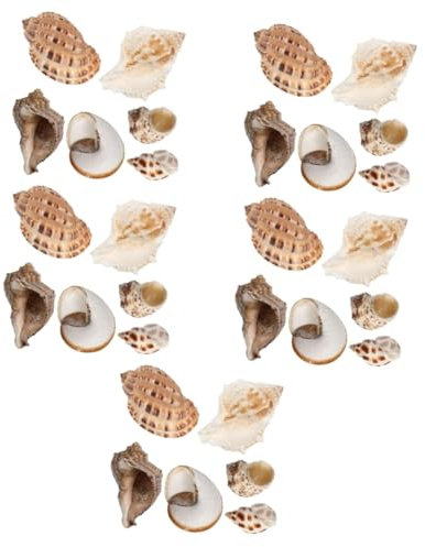 Sosoport 5 Ensembles Décoration D'aquarium Coquillages pour La Décoration Couvercle Soirée À Thème sur La Plage Trousse Mer Décor Océan Étang Thème De La Plage Coquille 6 Pièces * 5