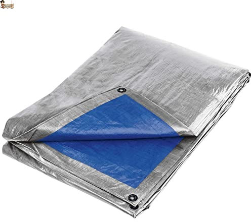 BricoLoco.com Toldo Lona Impermeable Multiuso Exterior. 5x8 MTS. ¡¡ EXTRAFUERTE 260 grs./m2 !!¡¡Reforzado!! Cubretodo cobertor leña, Remolque, Piscina, Mueble jardín. (260 grs. Plata/Azul, 5x8 MTS.)