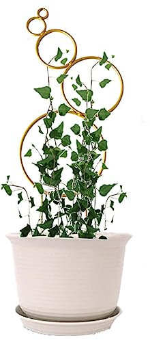 Enrejado De Metal Pequeño De 4 Uds para Plantas En Maceta, Enrejado De Plantas De Interior, Enrejado De Jardín Mini para Plantas En Maceta, Hoya,Pothos,Flower,Monstera(Color:Gold)