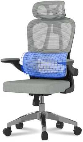 FLEXISPOT Ergonomischer Bürostuhl, Schreibtischstuhl mit 2D-Kopfstütze, Klappbare Armlehnen & Dynamische Lendenstütze, Stuhl mit 120° Wippfunktion für Homeoffice, Arbeitszimmer, Büro (Grau)
