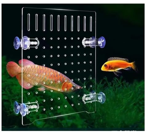 zklaseot Aquarium Trennwand, Aquariumteiler Plastik Aquariumteiler Schneidbar Gitterplatte Aquarium-Trenner Mit Saugnäpfen for Terrarium(60X75CM)