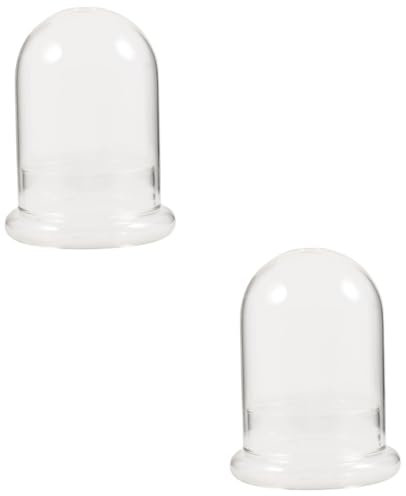 PRETYZOOM 2St Landschaftsökologische Flasche lagercontainer glasvasen pflanzgefäß Wohnkultur die Glasglocke Blumenvasen Cloche-Kuppel anzeigen Vitrine aus Glas Glocke Kuppel