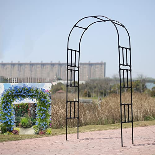 Arche de jardin en métal avec revêtement en plastique PE solide en tuyau d'acier galvanisé, idéal pour les roses et les plantes grimpantes, support pour jardin, mariage et décoration de fête de