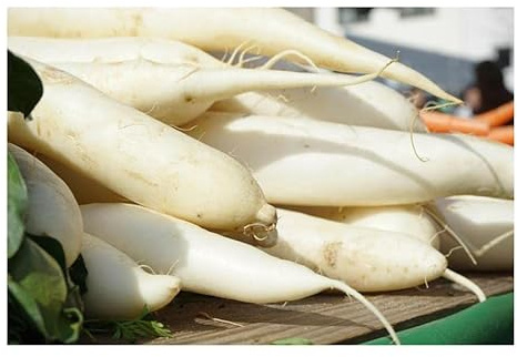 Pcs - 70x Radis Minowase Summercross F1 Blanc Raphanus Sativus Plantes - Graines K120 - Seeds & Plants Shop by Ipsa