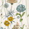 Belgravia 4772 - Carta da parati con motivo floreale botanico su sfondo effetto pannello di legno, perfetta per sale da pranzo, camere da letto, stile cottage, bianco/verde