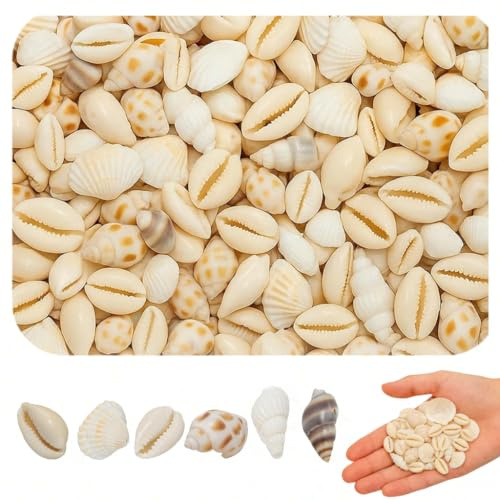 120 Stück Muscheln Zum Basteln, Muscheln Deko Mit Loch, 6 Styles, Natürliche Muscheln Für Armbänder, Hochzeitsdekoration, Aquarium Deko, 9-27,5 mm