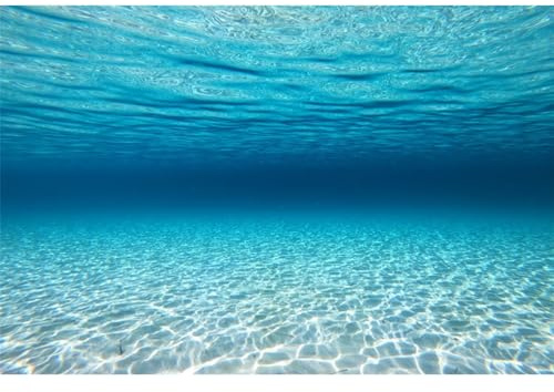 MIRRORANG 180x61cm Unterwasser-Thema Aquarium Hintergrund Blau Ozean Unterwasserwelt Aquarium Hintergrund Aquarium Hintergründe Kulisse