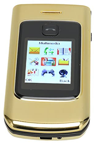 K21 2G Klapphandy mit Großen Tasten für Senioren, 2,4 Zoll Klapphandy mit Taschenlampe und Timing Funktion, Unterstützt SIM Karte, 1100 mAh Akku (Gold)