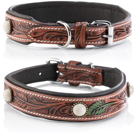 Jack & Russell Unikat Hundehalsband aus Leder, Hand-geschnitzt, Perlen und gepolstert– Halsband aus Büffelleder, Hunde Lederhalsband braun Pearl (M (31,5-40,0cm))