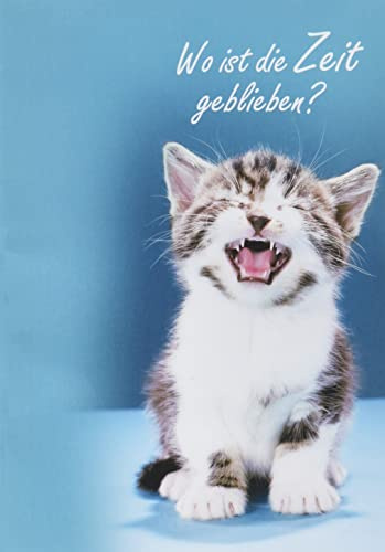Perleberg Geburtstagskarte Basic Classic - Katze - 11,6 x 16,6 cm