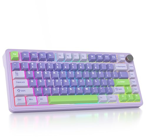 SOLIDEE mechanische Gaming Tastatur 75 Prozent mit Knopf,Bluetooth 5.0/2.4GHz/USB-C Gasket Mount Tastatur,hot-swap-fähige mechanische Tastatur mit South Facing RGB Hintergrundbeleuchtung(Lavender)