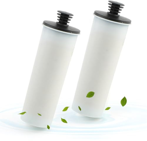 Juego de 2 filtros Cartuchos descalcificadores para Karcher SC3, Kit de Accesorios parciales para Limpiador a Vapor (Blanco)