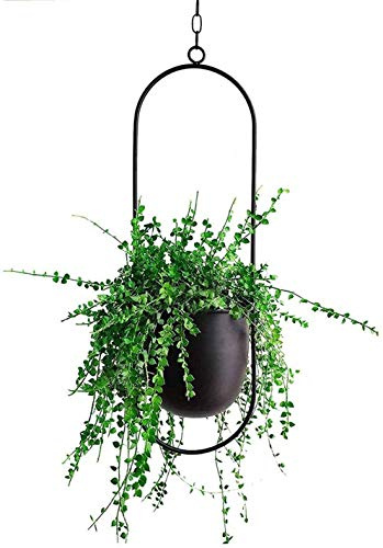 Cratone Hängender Dekorationstopf Metall Schwarzer Bolo Blumenampel Decke hängender Übertopf für Zimmerpflanzen, Sukkulenten, Luftpflanzen, Kakteen