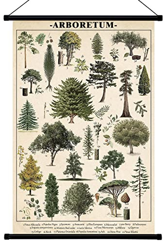 Geyee Vintage Nature Poster Wall Decor Tree Art with Hanging Rods