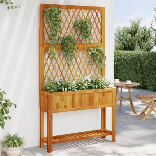 Gecheer Jardinière avec treillis et étagère, 100 x 32 x 185 cm, bois Acacia, jardinière de jardin, parterre surélevé, lit surélevé de jardin, jardinière, grand lit, lit pour jardin surélevé, lit pour