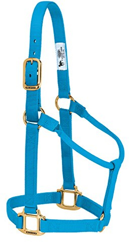 Weaver Leather Cavezza per cavallo in nylon, non regolabile, colore blu uragano, per pony