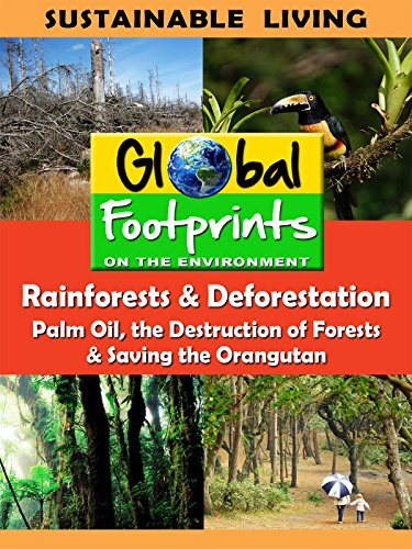 Global Footprints - Rainforests & Deforestation, Palm Oil & Saving the Orangutan