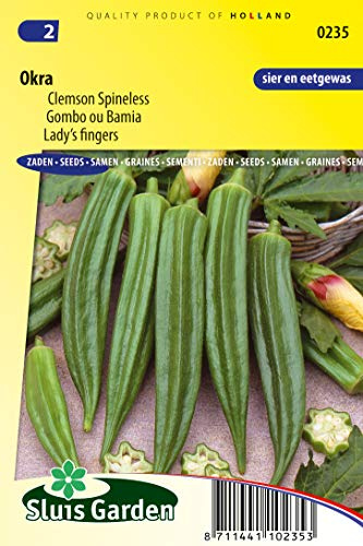 Lady's Fingers Okra grönsaksfrön per gram - Attraktiva gula blommor med ett mörkrött hjärta - 1,5 g - frön per gram: +/-30