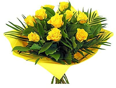 12 Yellow Roses - Fresh Cut Flowers Perfect for Birthday - delivery - Anniversary - Thank You - Get Well - Congrats Gift