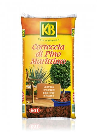 Corteccia di Pino Marittimo KB