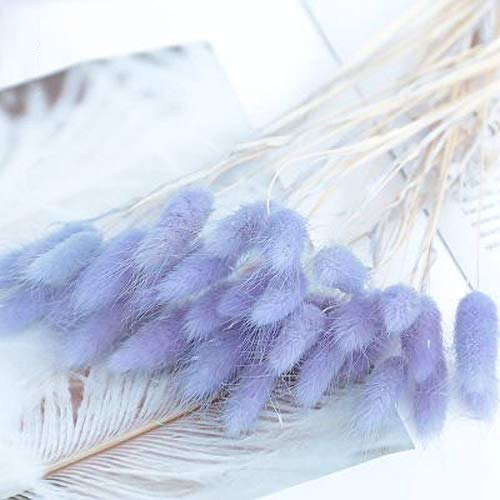 RAILONCH 40pcs Naturale essiccato Pampas Erba Matrimonio Fiore Fasce per Il Matrimonio a casa Decorazione Giardino Lilla