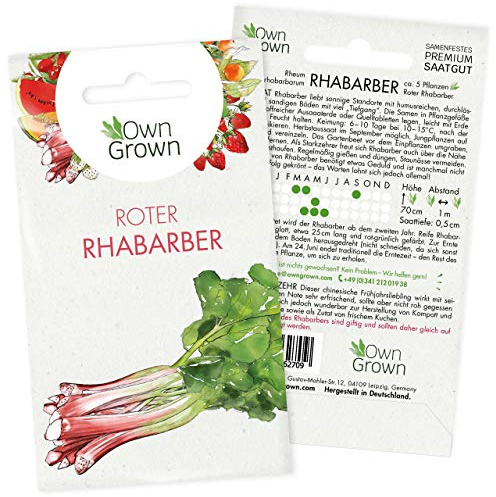 Rhabarber Pflanzen Samen: Premium Roter Rhabarber Samen für 5 Rhabarberpflanzen mehrjaehrig – Rabarber Pflanze winterhart – Rhubarb von OwnGrown