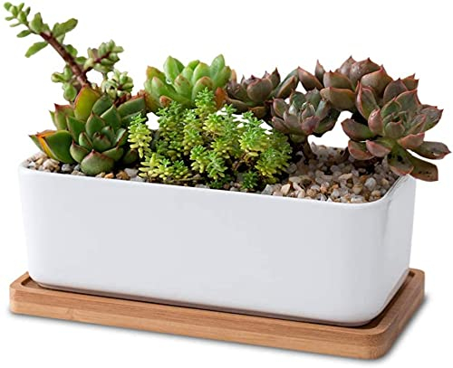 LATRAT Set Rettangolo Bianco Ceramica Vaso per Piante Grasse e Cactus con Sottobicchiere di Bambù - Decorativo Piccolo Vaso di Fiori