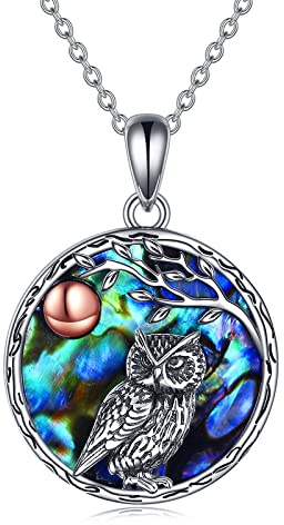 YAFEINI Eule Kette für Damen 925 Sterling Silber Eule Anhänger Schmuck Geschenk für Mama Mädchen Freund